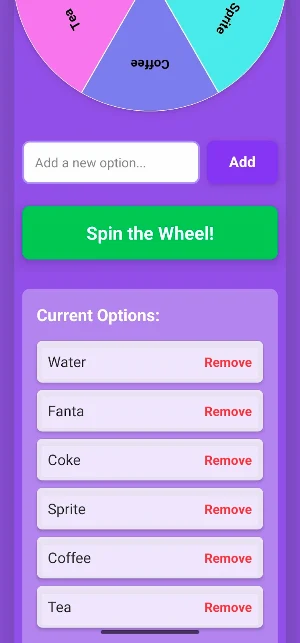 Decision Wheel Screenshot 3