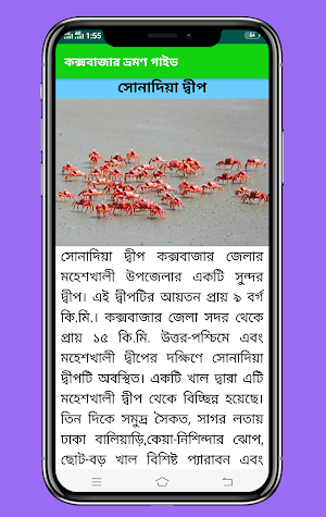 কক্সবাজার ভ্রমণ গাইড Screenshot 3