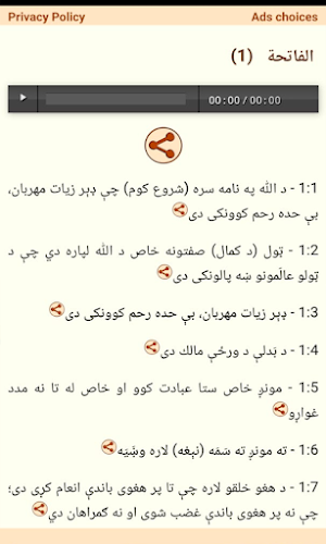 Quran in Pashto / English Screenshot 1