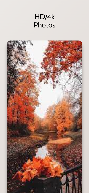 Beautiful  Autumn Wallpaper HD Screenshot 2