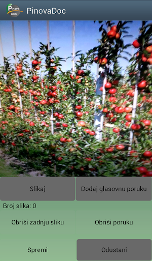 Pinova Mobile Screenshot 1