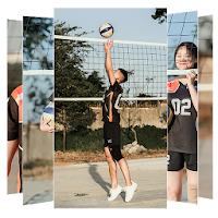 Volleyball Wallpaper