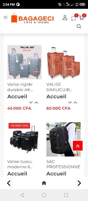 Bagageci Screenshot 2