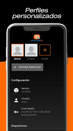 Datalink TV Screenshot 2