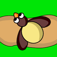 Daring Birdie