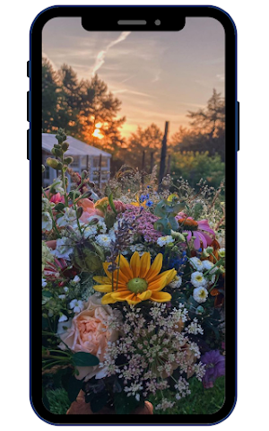 Summer Wallpapers Screenshot 3