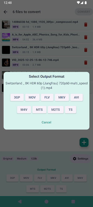 Mov to Mp4 Converter Screenshot 3
