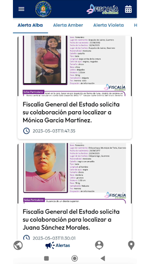 FGE del Estado de Guerrero Screenshot 2