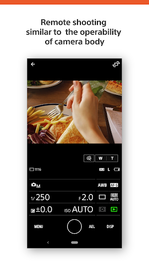 Imaging Edge Mobile Plus Screenshot 1