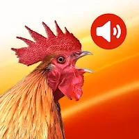 Alarm Ringtones & Funny Sounds