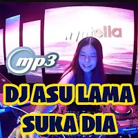 DJ Asu Lama Suka Dia Lengkap