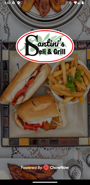 Santini's Deli & Grill Screenshot 0