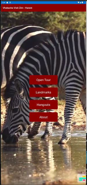 Vhakacha Visit Zim - Harare Screenshot 0