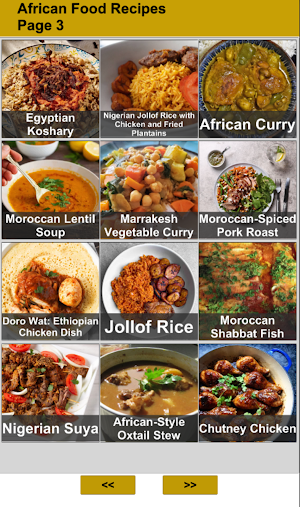 African Food Recipes Screenshot 2