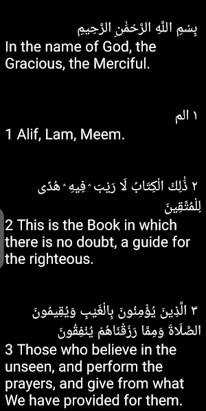 Saad Al-Ghamidi Offline Screenshot 3