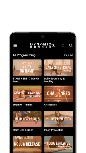 Dynamic Runner Screenshot 0