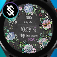 BFF71-Blackboard Art Succulent