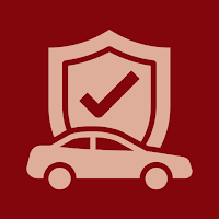 Consulta Vehicular por Placa