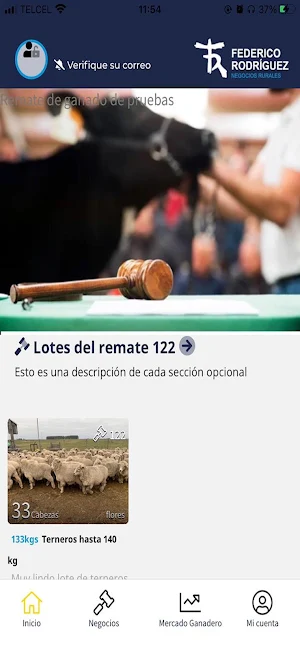 Federico Rodríguez Screenshot 1