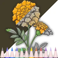Draw Flowers Easy Step by Step