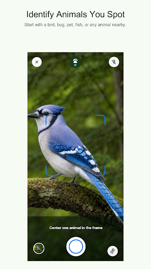 FaunaNote: Animal Scanner Screenshot 1