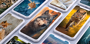 Animals Wallpaper Screenshot 0