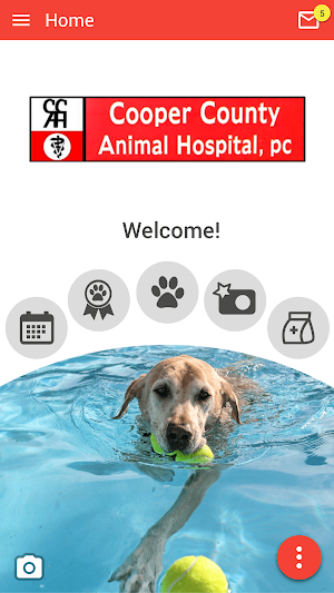 Cooper County Animal Hospital Screenshot 0