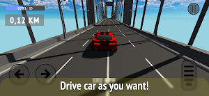 Driver Ultimate Screenshot 2