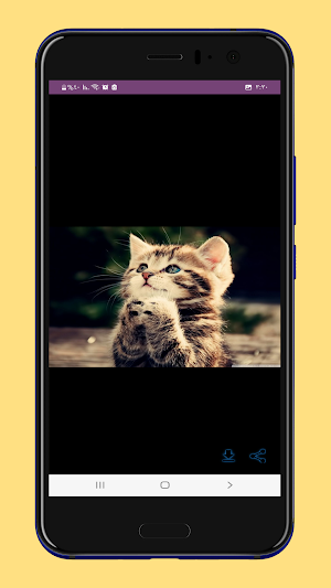خلفيات قطط فخمة Screenshot 3