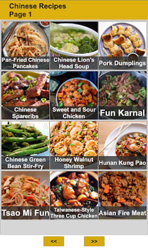 100 Chinese Food Recipes Screenshot 0