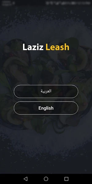 Laziz Leash - لذيذ ليش ؟ Screenshot 0