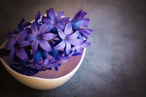 Violet flowers wallpapers Screenshot 1