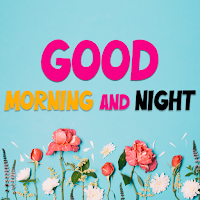 Good Morning Afternoon Night