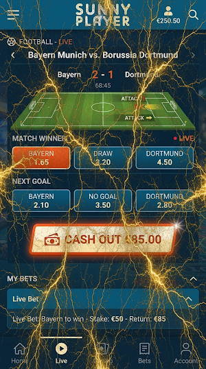 Sunnyplayer Screenshot 1