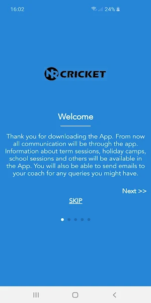 NR Cricket Screenshot 1