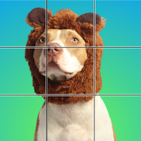 Jigsaw Explorer - Slide Puzzle