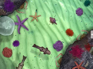Sensory Worlds - US Screenshot 2