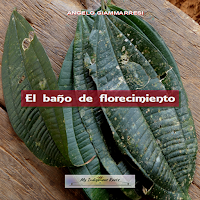 El baño de florecimiento