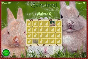 Cool pairs Screenshot 2