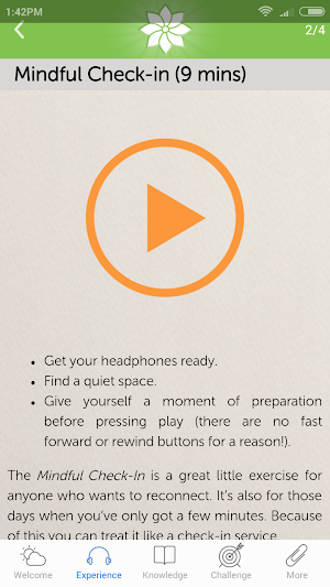 Mindfulness: 2012 Screenshot 1