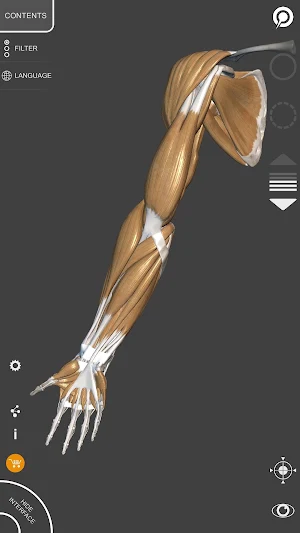 3D Anatomy for the Artist Screenshot 2