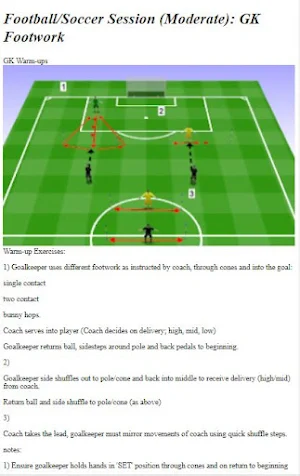 Goalkeeper Training Guide Screenshot 2