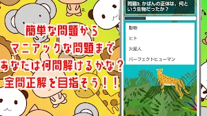 クイズ for けものフレンズ！萌え擬人化動物アニメ！アプリ Screenshot 2