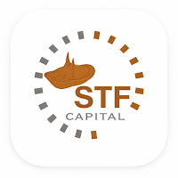 STF Capital e-Guarantees
