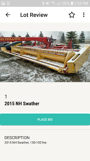 Black Hills Auction Screenshot 2