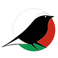 Sahara press service