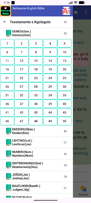Setswana English Audio Bible Screenshot 1