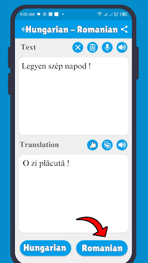 Fordító Román Magyar Screenshot 2