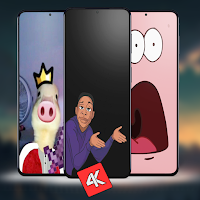 Funny Wallpapers Memes 4K