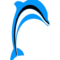 Dolphin Insurance